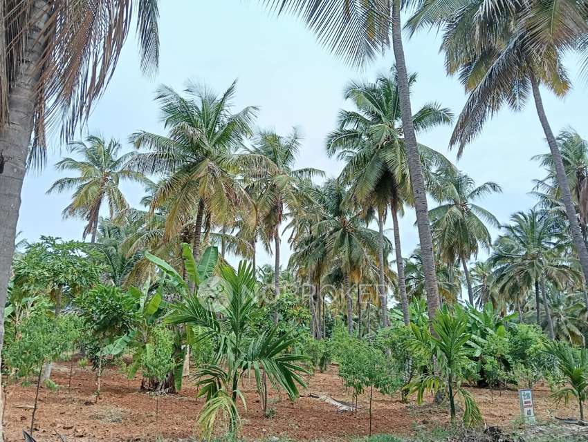 Plot For Sale  In Aromasandolo In Yelahanka New Town