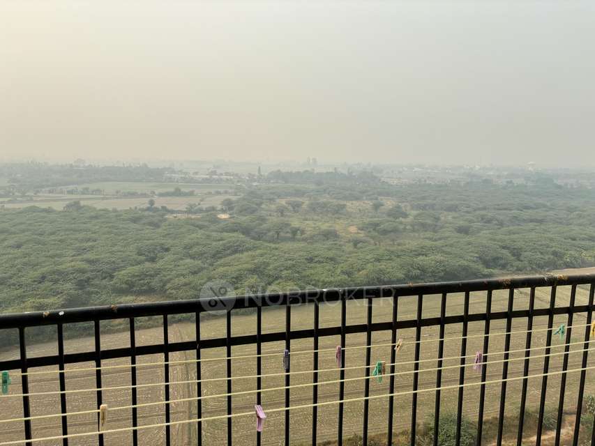 1 BHK Flat In Supertech Golf Country  For Sale  In Sector 22b