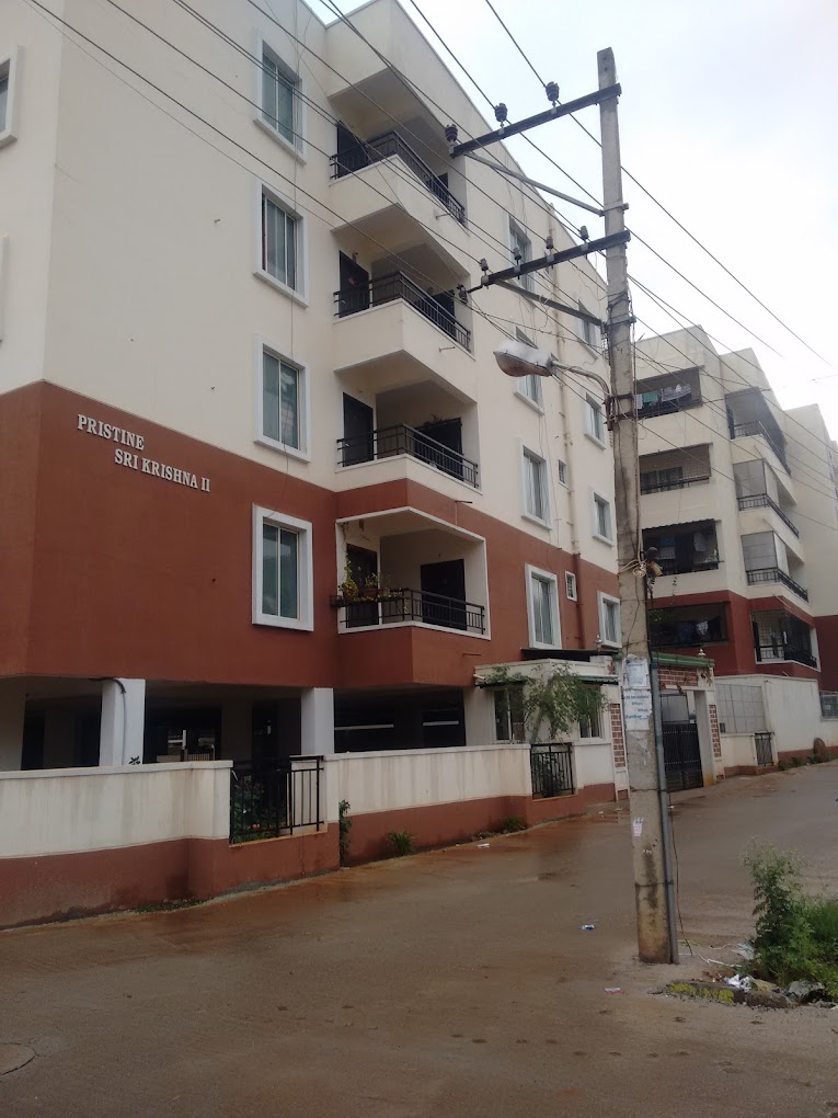 Pristine Sri Krishna