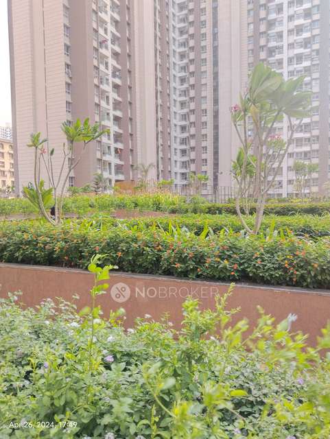 2 BHK Flat In Vtp Belair for Rent  In Mahalunge