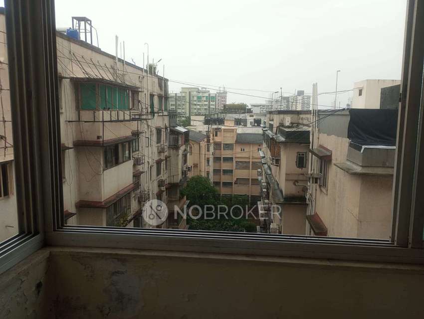 PG for Anyone in Tardeo