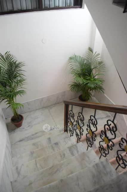 PG for Girls in Kamla Nagar