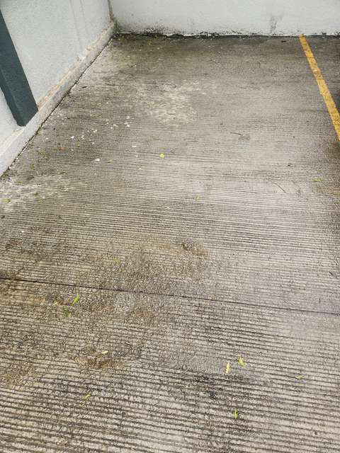 2 BHK Flat In Verdant Park For Sale  In Ravet