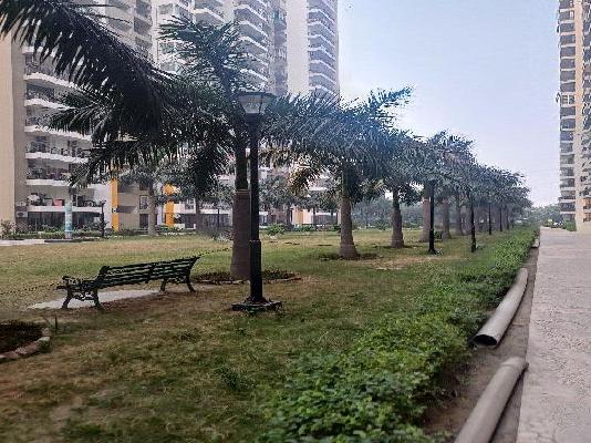 3 BHK Flat In Gulshan Ikebana For Sale  In Sector 143