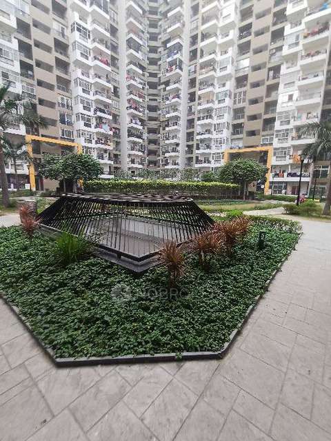 3 BHK Flat In Gulshan Ikebana For Sale  In Sector 143
