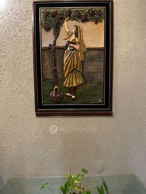 PG for Anyone in Malkajgiri