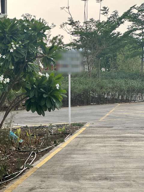 Plot For Sale  In Bavdhan In Chandani Chowk