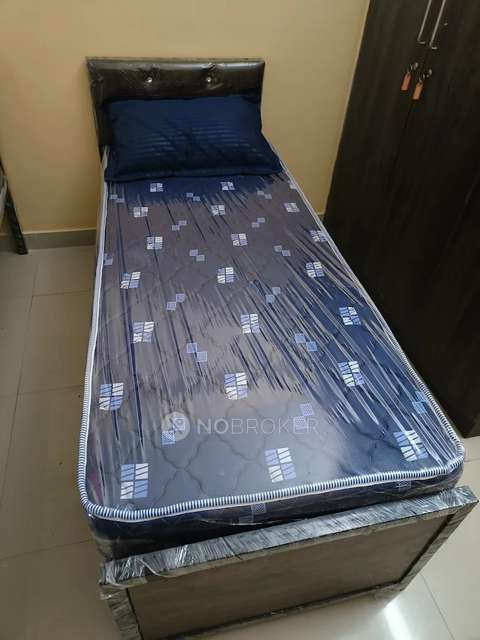 PG for Boys in  Btm Layout