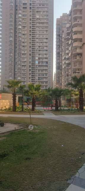 3 BHK Flat In Grand Ajnara Heritage, For Sale  In Sector 74