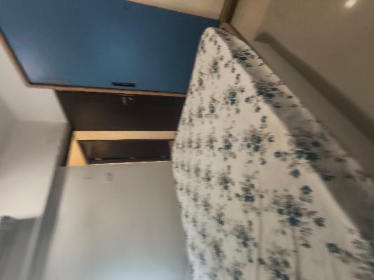 2 BHK Flat In Puranik Aldea Espanola  K Montella for Rent  In Mahalunge