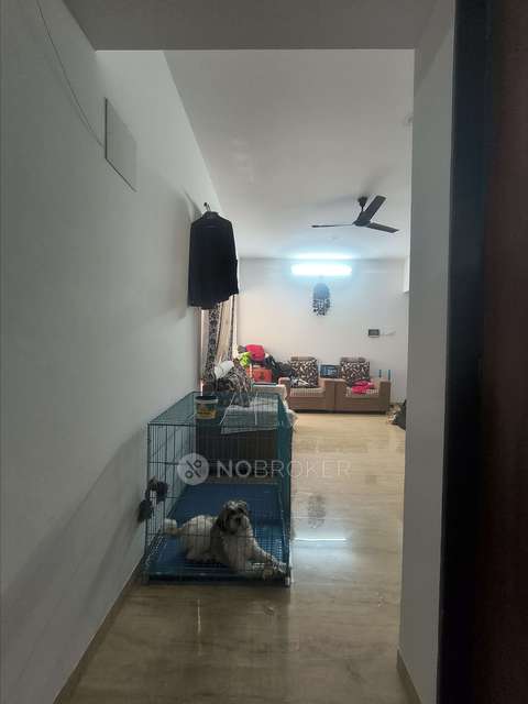 2 BHK Flat In Vtp Leonara for Rent  In Vtp Leonara