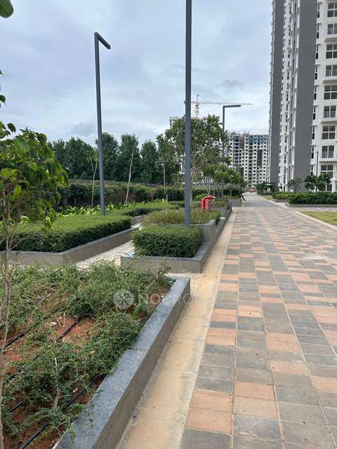 2 BHK Flat In Godrej Ananda Phase 2 For Sale  In Bagalur