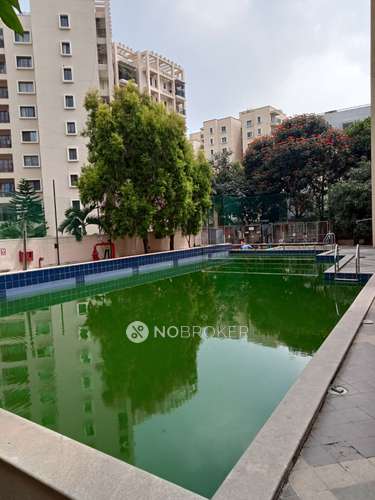 3 BHK Flat In Sterling Brookside  For Sale  In Brookefield