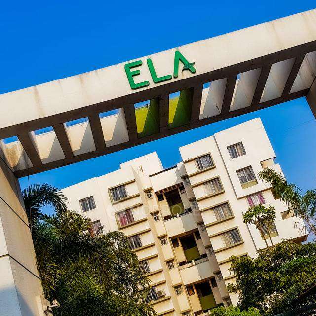 1 BHK Flat In Anshul Ela For Sale  In Moshi