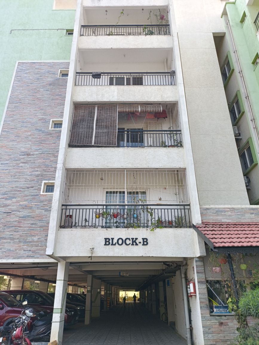 Sai Raghavendra's Bloomfields