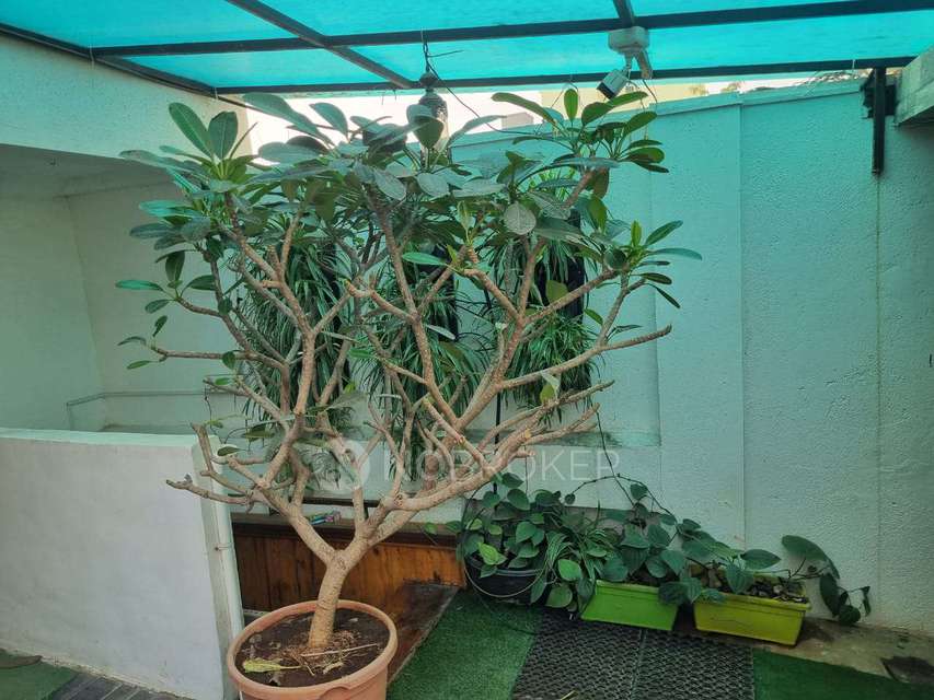 4+ BHK Villa In Bahiarat Villa For Sale  In Pimpri Chinchwad