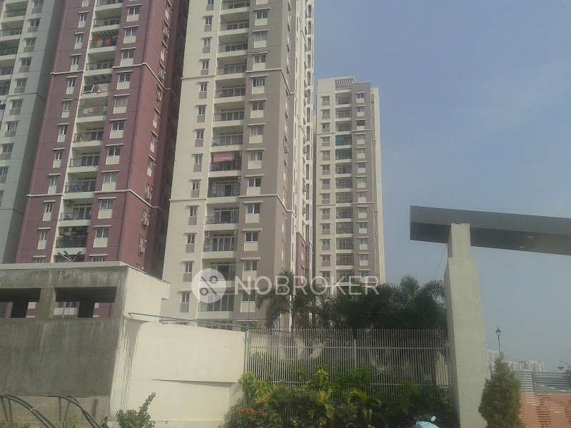 2 BHK Flat In Prajay City For Sale  In  Miyapur