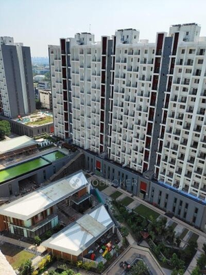 2 BHK Flat In Godrej 24 for Rent  In Hinjewadi