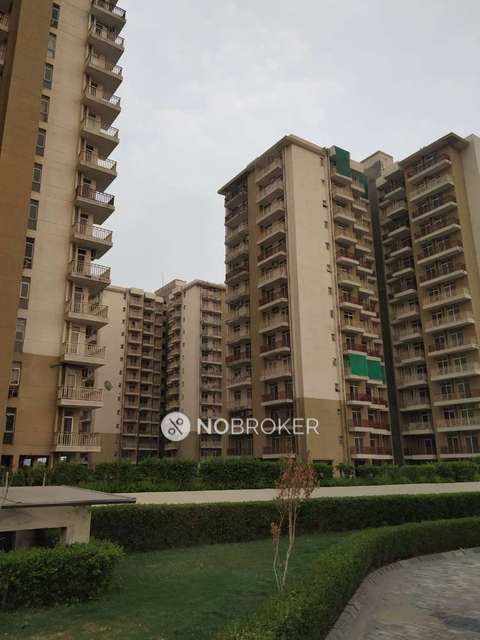 2 BHK Flat In Ansal Heights  for Rent  In Sector 92