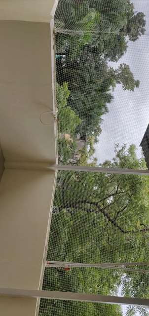 1 BHK Flat In Pmc Shah Gruh Rachana Sanstha Hanuman Nagar Pune for Rent  In Hanuman Nagar