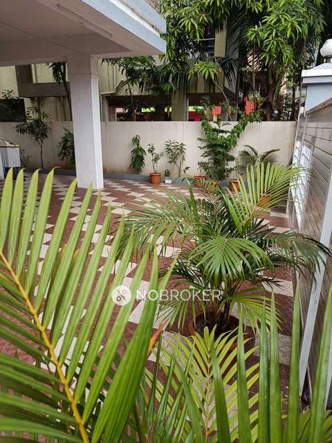 1 BHK Flat In Standalone  Building for Rent  In 86, Sukhwani, Morewadi, Pimpri Colony, Pimpri-chinchwad, Maharashtra 411018, India