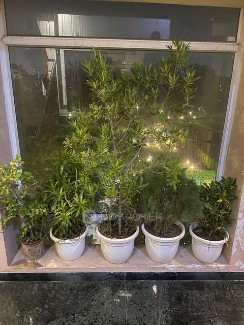 3 BHK Flat In Bptp Parkland Pride For Sale  In Sector 77