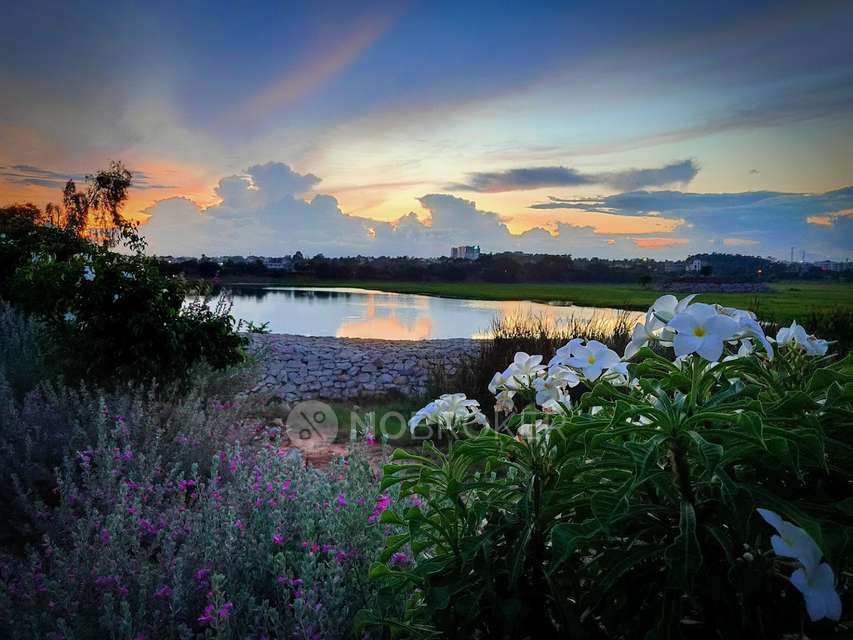 Plot For Sale  In Maruthi Nagar