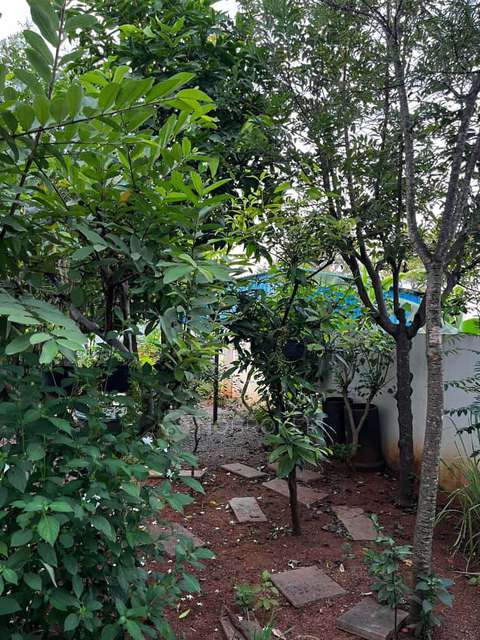 4+ BHK House For Sale  In  Sharada Nagar, Shamshabad