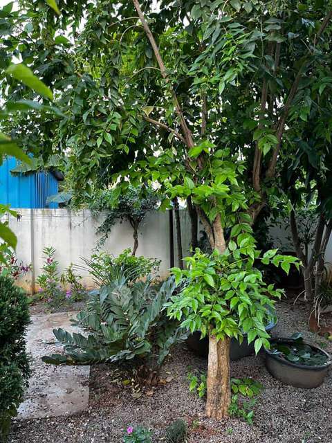 4+ BHK House For Sale  In  Sharada Nagar, Shamshabad