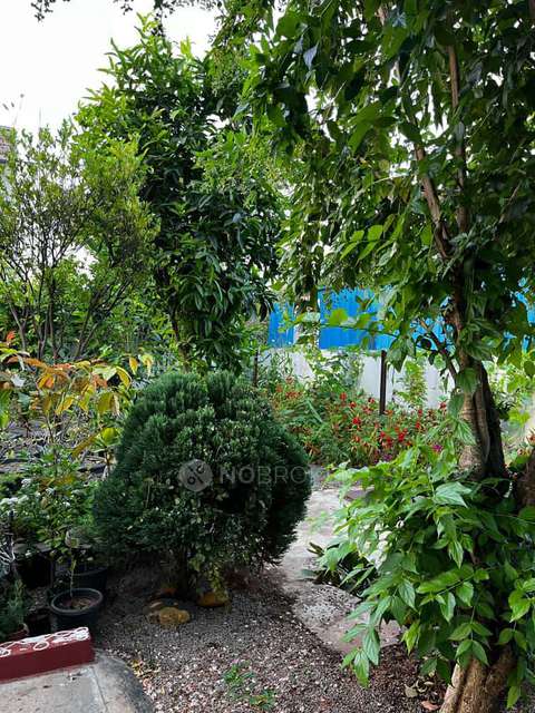 4+ BHK House For Sale  In  Sharada Nagar, Shamshabad