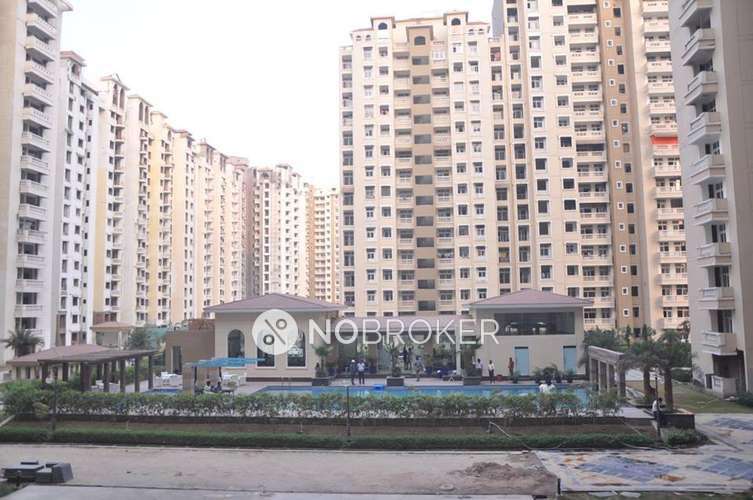 2 BHK Flat In Amarpali Silicon City For Sale  In Sector 76
