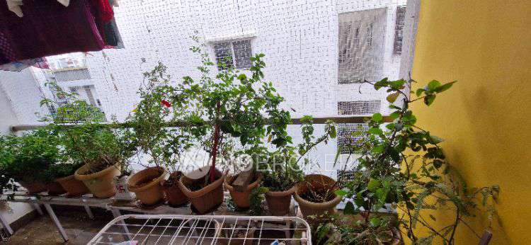 3 BHK Flat In Hallmark Silvanus For Sale  In Neknampur