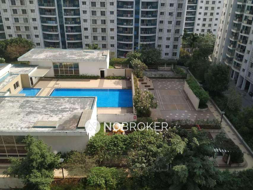 Single Room for Male In 2 BHK  In Megapolis Sunway In Hinjewadi