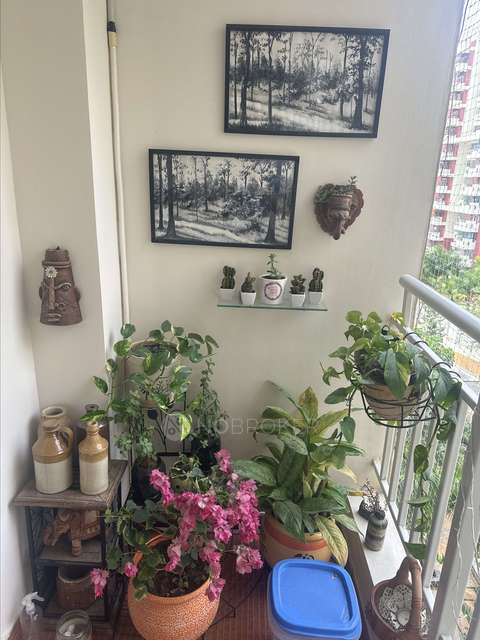 2 BHK Flat In Ncc Urban Nagarjuna Meadows 2 For Sale  In Yelahanka