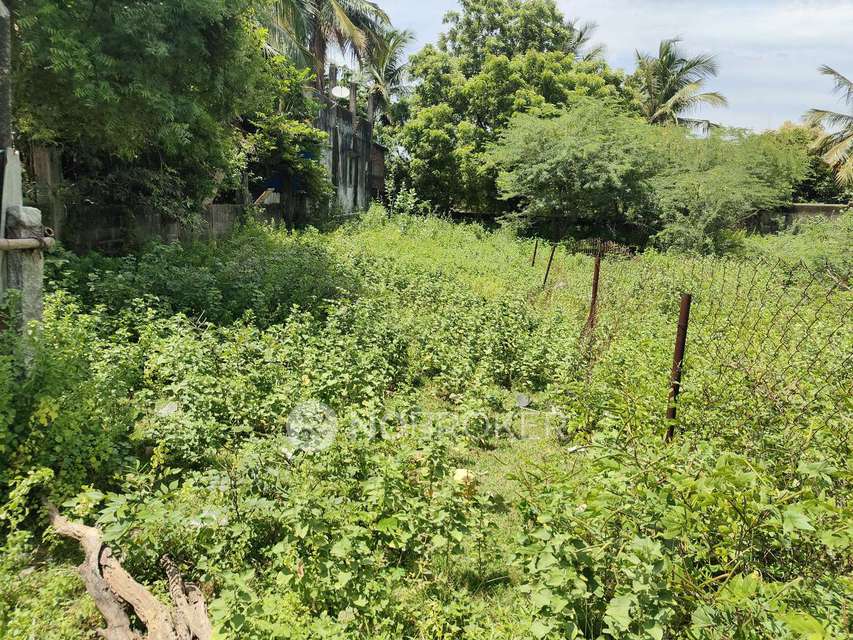 Plot For Sale  In Thiruverkadu