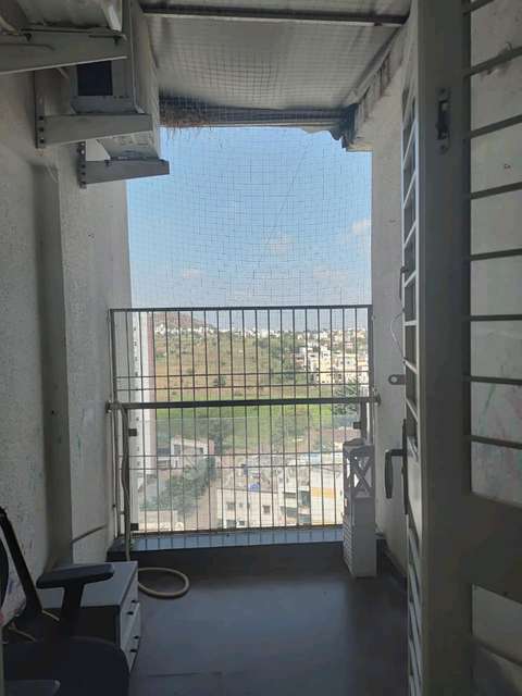 3 BHK Flat In Park Vista for Rent  In Lohegaon