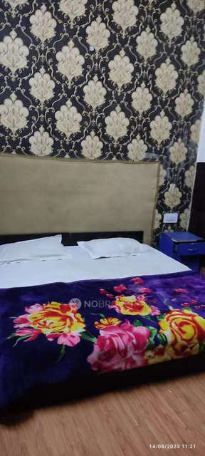 PG for Boys in Sector 19