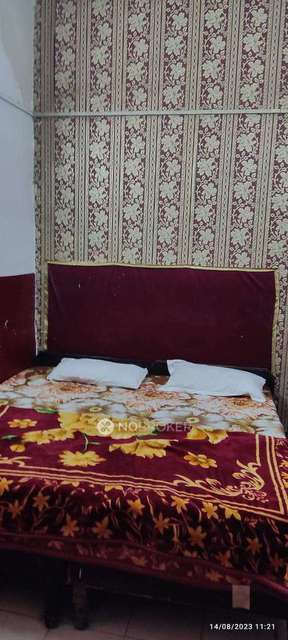 PG for Boys in Sector 19