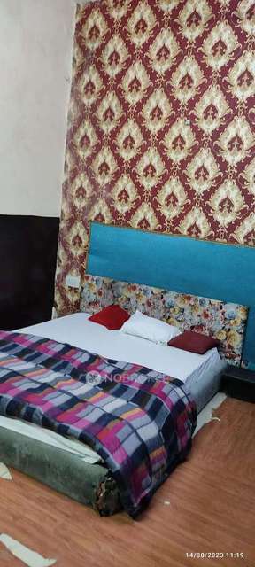 PG for Boys in Sector 19