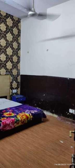 PG for Boys in Sector 19