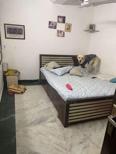 4+ BHK House For Sale  In Ramesh Nagar