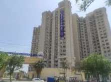 3 BHK Flat In Capital Athena For Sale  In Sector 1