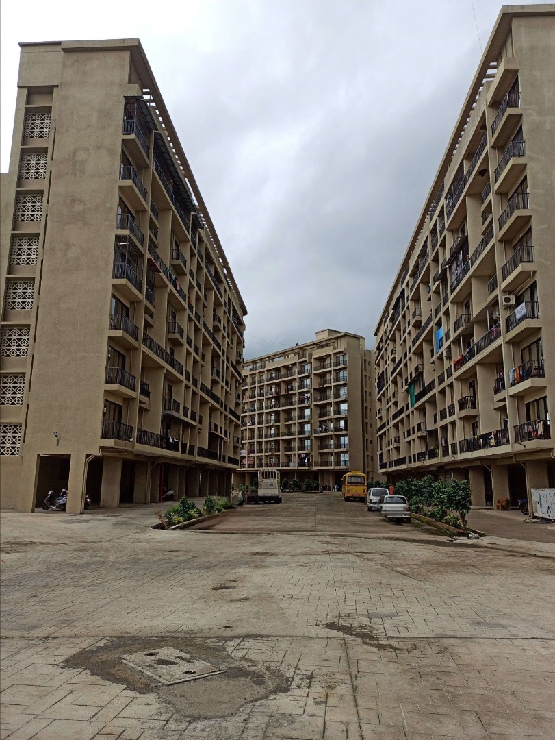 Silverleaf Saushilya