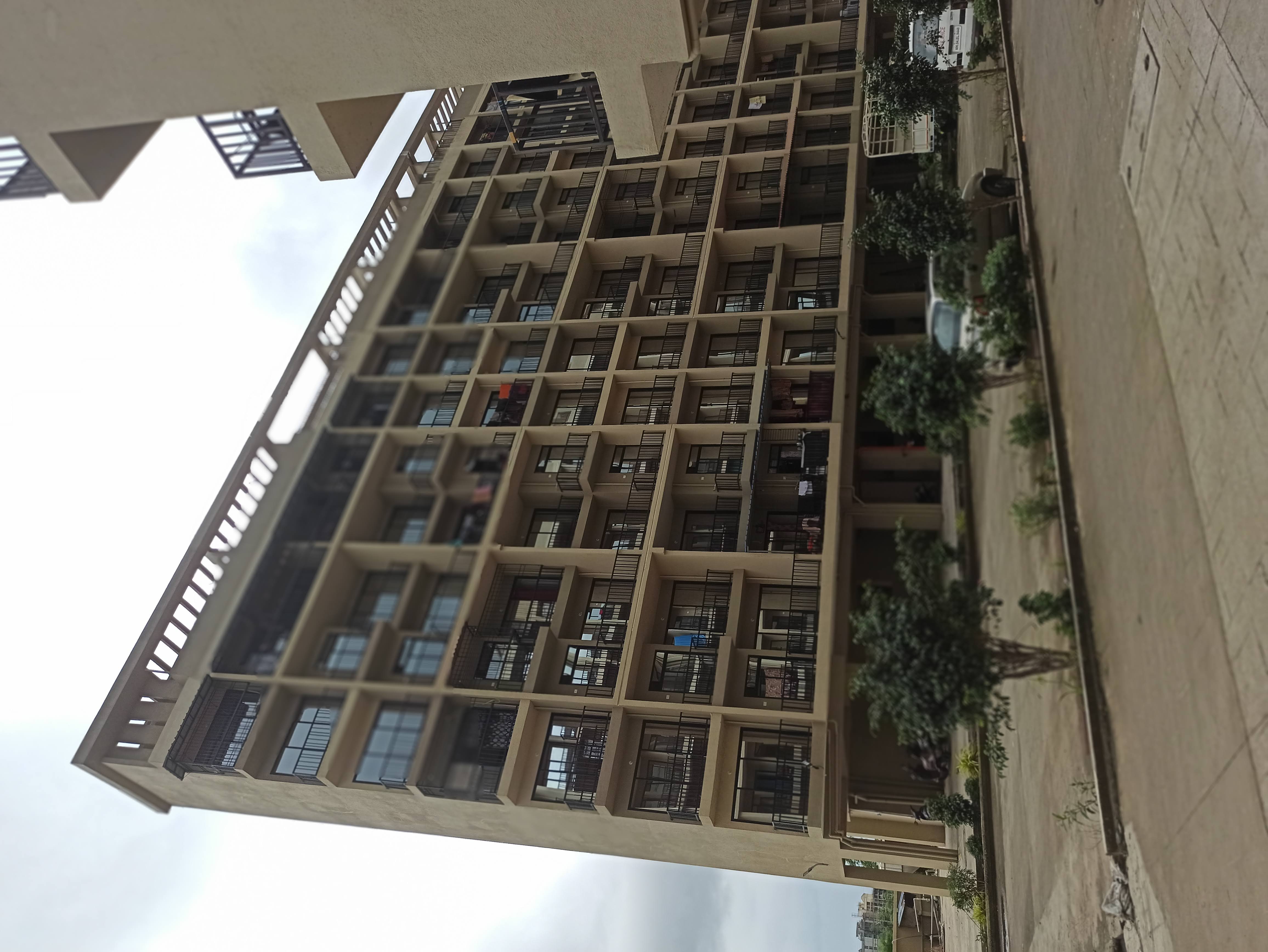 Silverleaf Saushilya