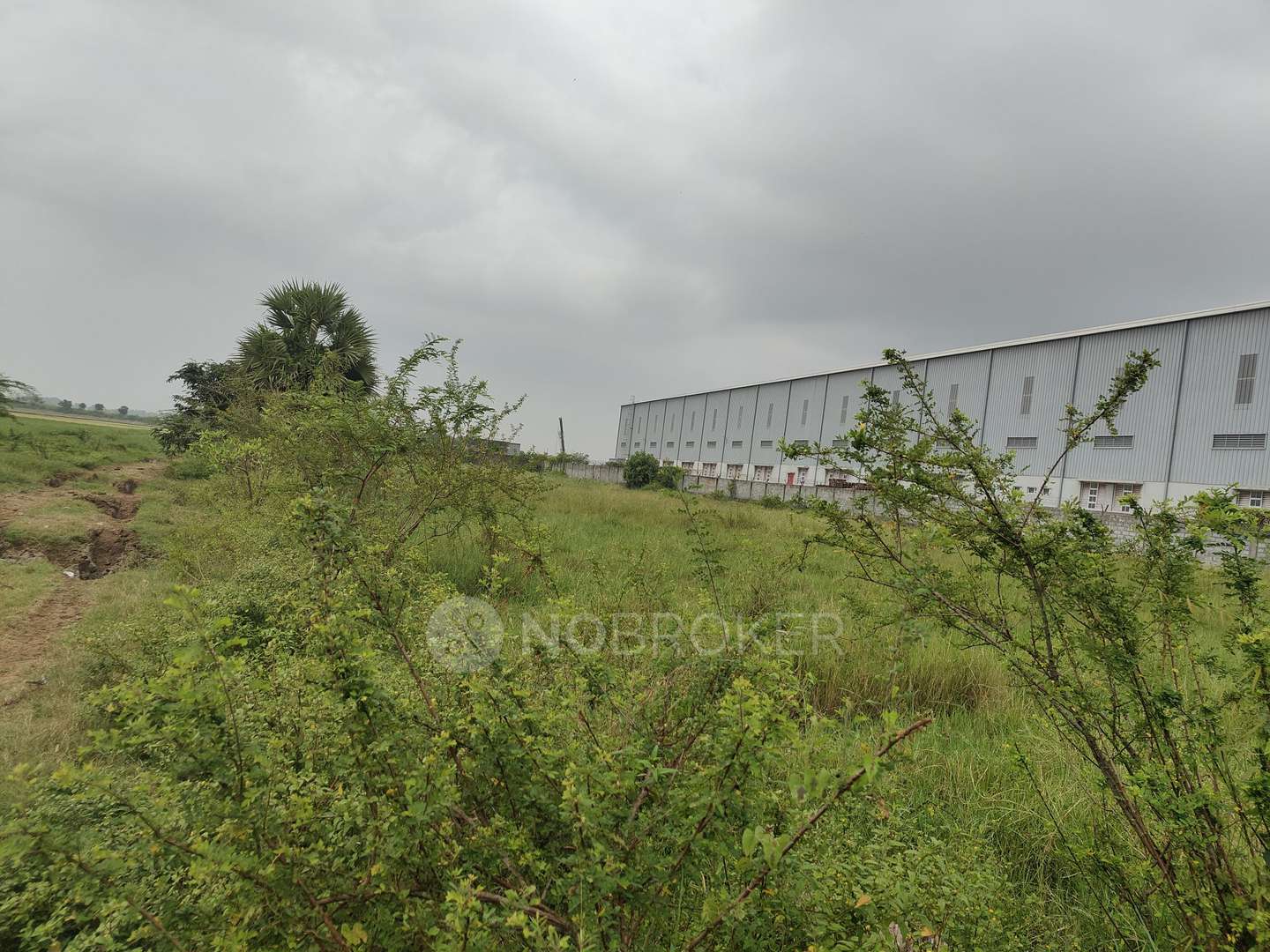 Plot For Sale  In Ponneri