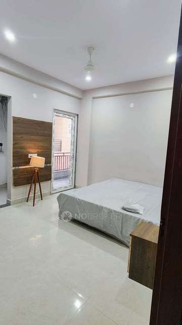 PG for Anyone in  Sector 69