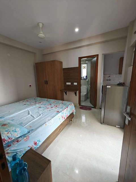 PG for Anyone in  Sector 69