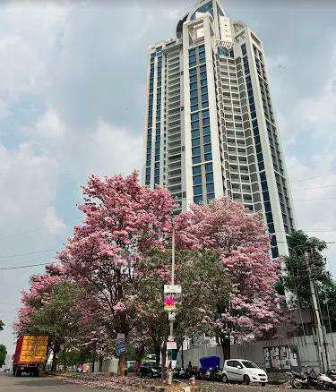 3 BHK Flat In Mantri Pinnacle For Sale  In Hulimavu