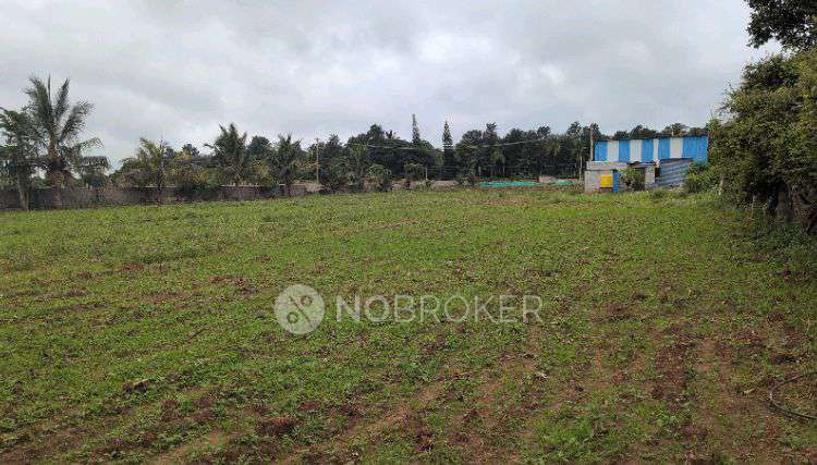 Godown/Warehouse in Unnamed Road, Channahalli, Karnataka 562157, India, Bangalore for Rent 