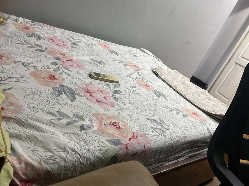 Single Room for Female In 1 RK  In Private In Halls Road